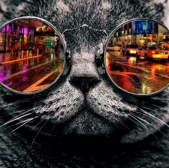 Meet your Posher, Saoussane - Picture 1 of 1